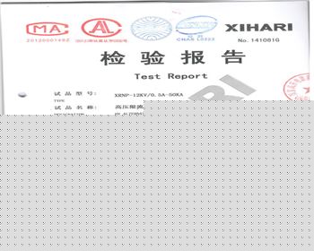 XRNP-12KV 0.5A-1檢驗(yàn)報(bào)告