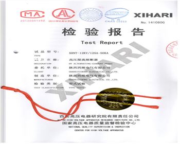 XRNT-12KV 125A-1